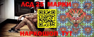 стаф Кулебаки