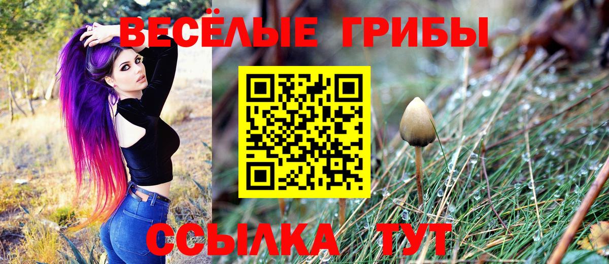 Псилоцибиновые грибы мухоморы Донецк